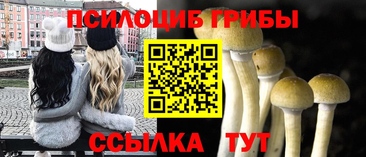 Псилоцибиновые грибы прущие грибы Зеленодольск