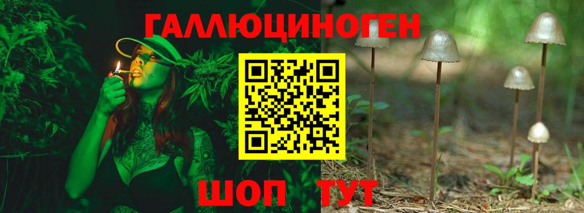 Зеленодольск  Псилоцибиновые грибы Cubensis  Вход с VPN 